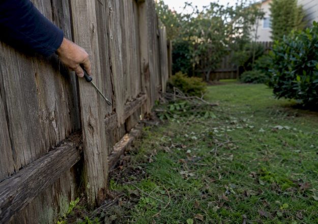 What to Do About Storm Damage Fence Problems Right Now