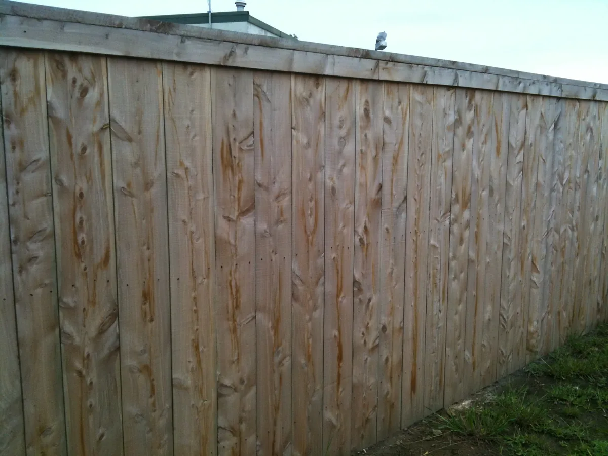 Tall wood privacy fence panel seen from the yard side