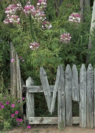 Modern Fence employee servicing an installed fence and gate