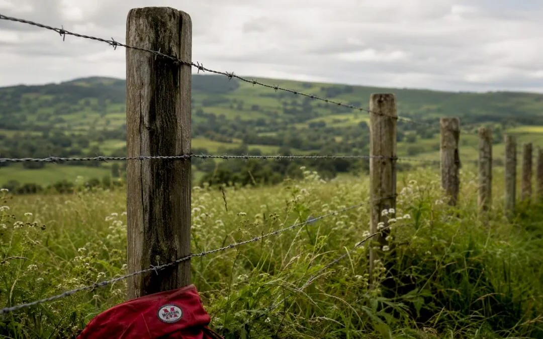 Wire fence line running across open farmland