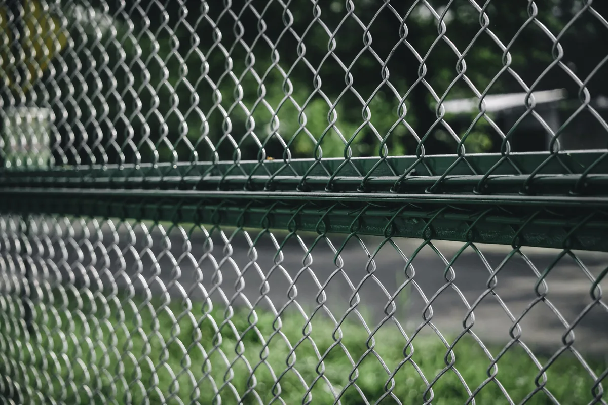 Green vinyl-coated chain link fence along a yard boundary