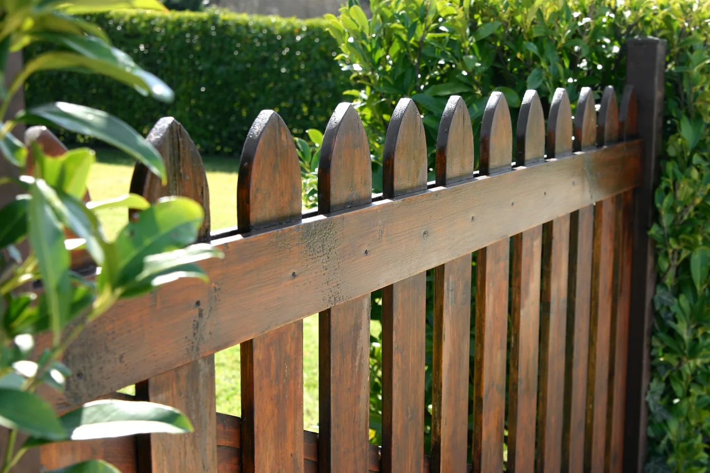 Wood picket fence running along a planted garden bed